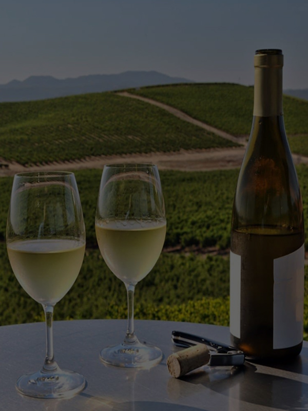 wine-tour